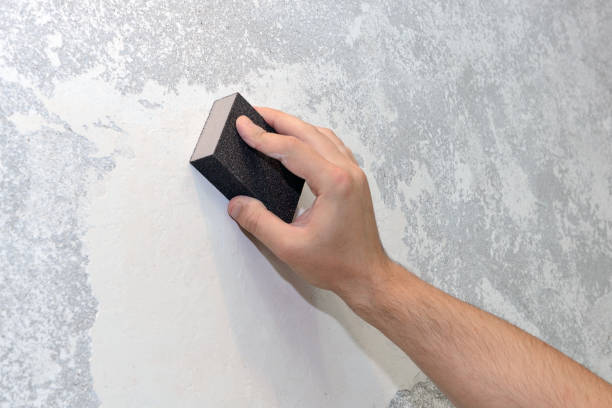 Best Forensic Mold Investigation  in Union Springs, NY