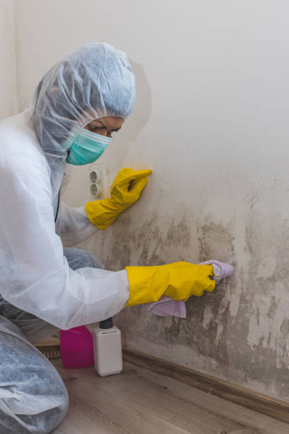 Best Residential Mold Inspection & Testing  in Union Springs, NY