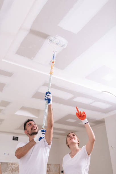 Mold Remediation for Rental Properties in Union Springs, NY