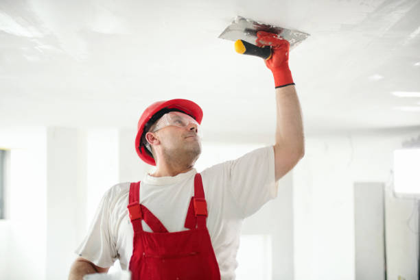 Best Black Mold Removal  in Union Springs, NY