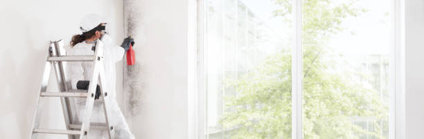 Best Air Quality Testing for Mold Spores  in Union Springs, NY