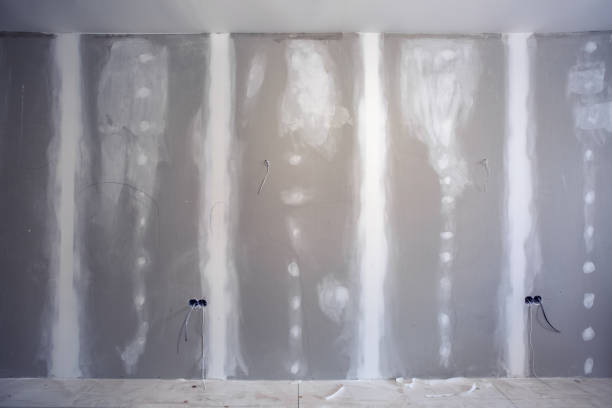 Best Water Damage & Mold Remediation  in Union Springs, NY